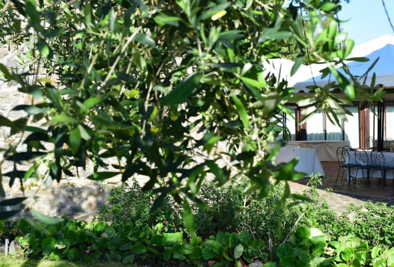 I Casali Della Parata Velletri Exterior photo